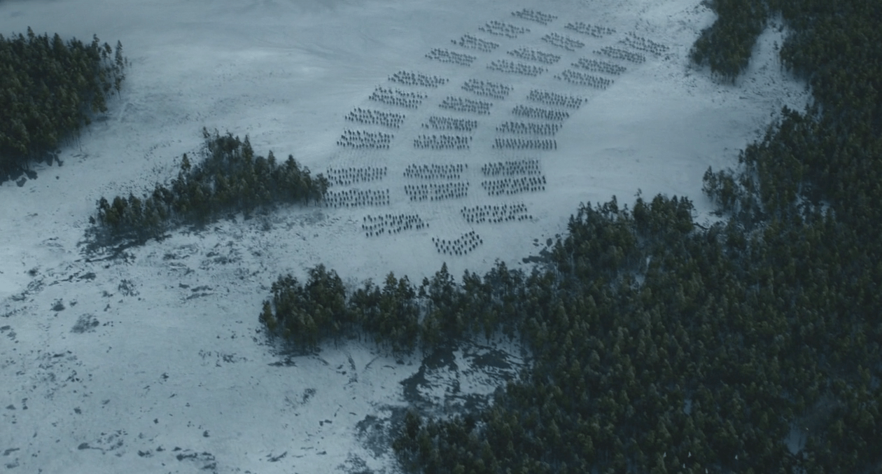 Quaranta quattro gatti in fila per tre con resto di 3.300