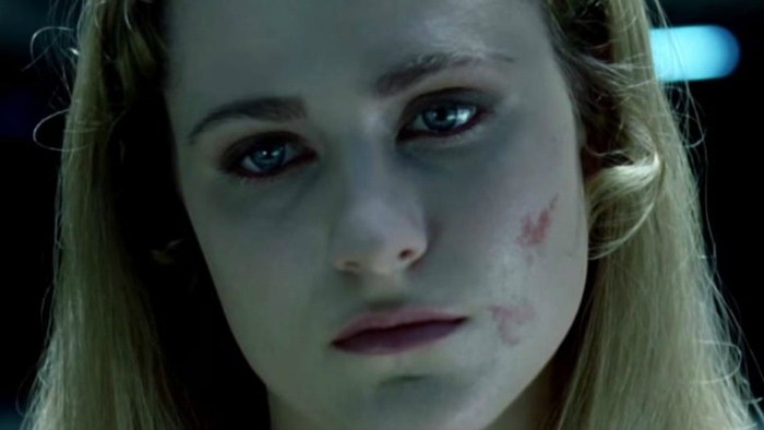 westworld serie tv evan rachel wood