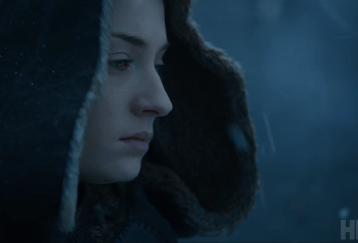 Sansa The Dragon and The Wolf