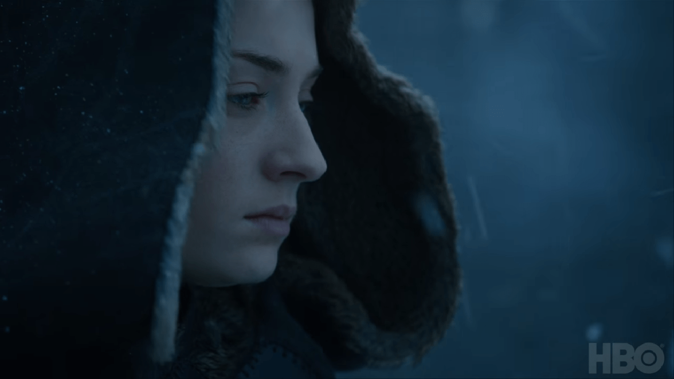 Sansa The Dragon and The Wolf