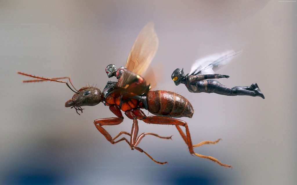 Ant-Man-And-The-Wasp insieme