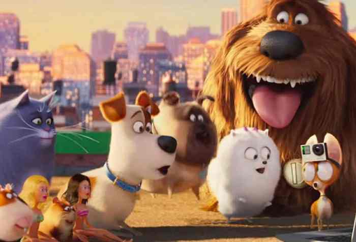 le migliori frasi e citazioni di petto 2