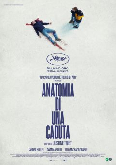 Anatomiadiunacaduta poster